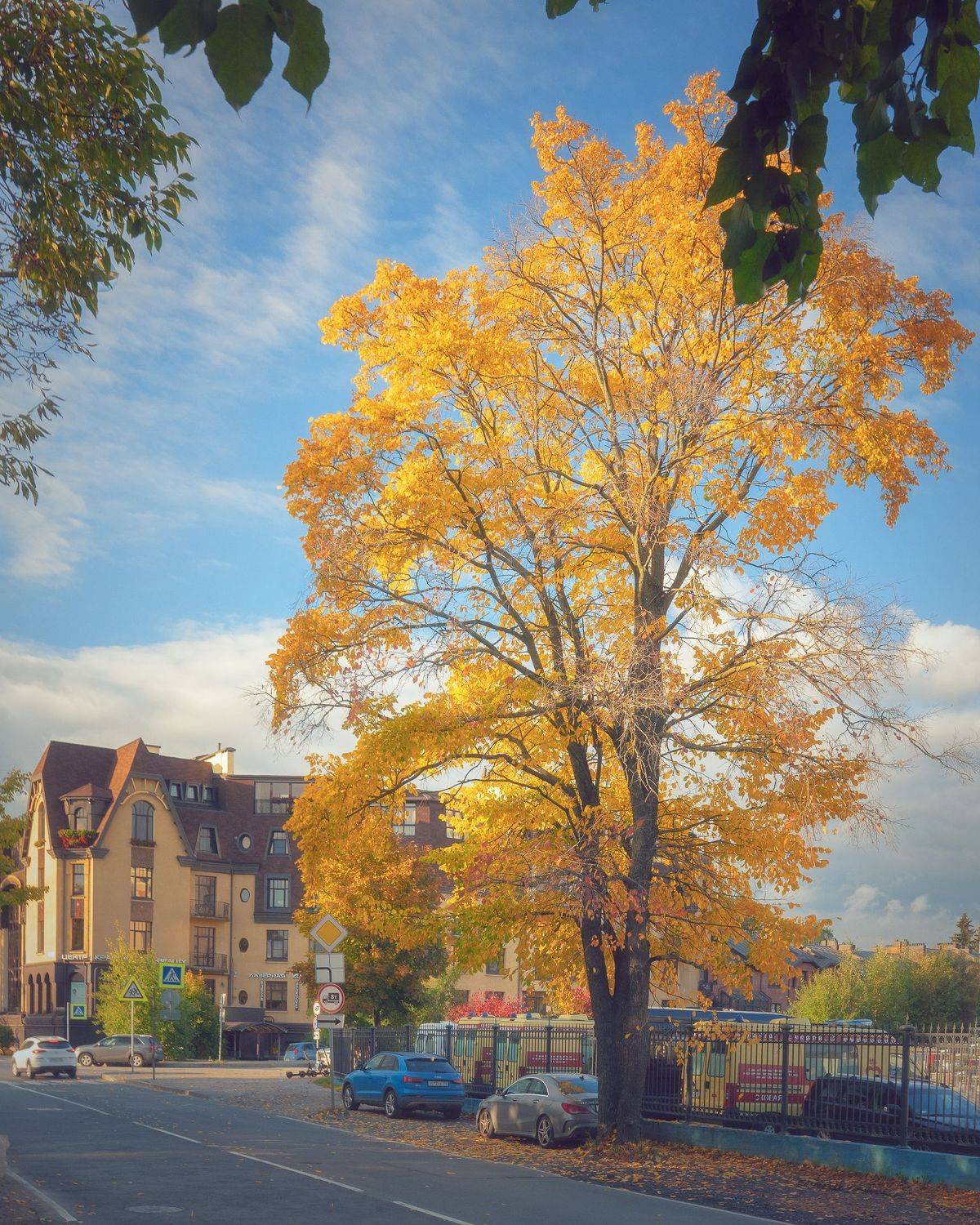 осень, город, Андрей Кучеров