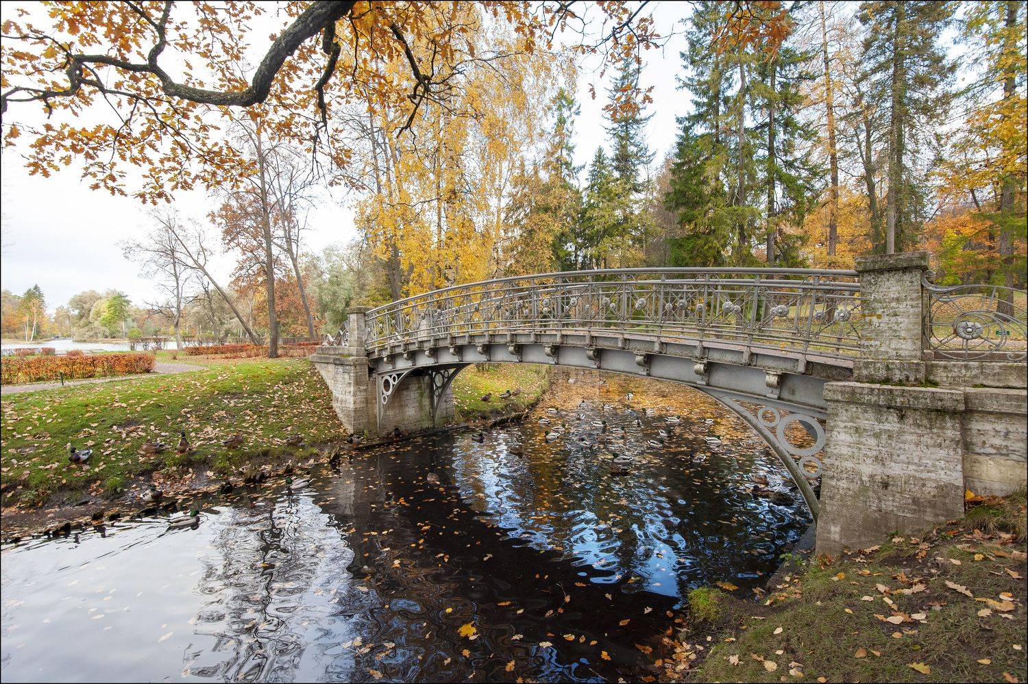 , Георгий Сапожников