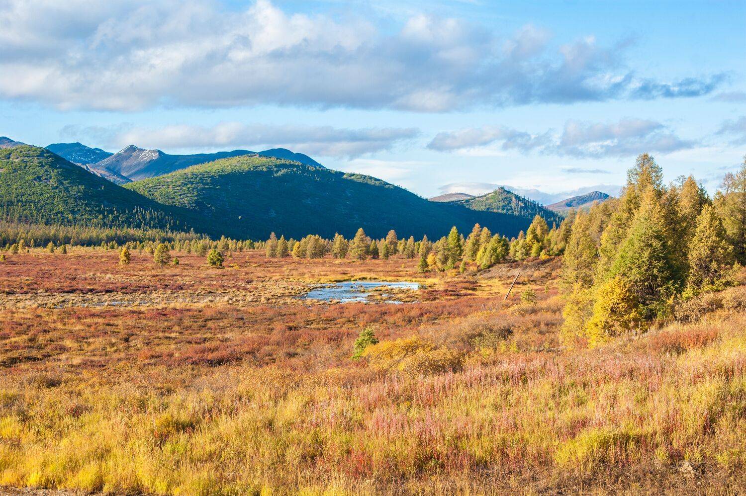 , Андрей Загребельный