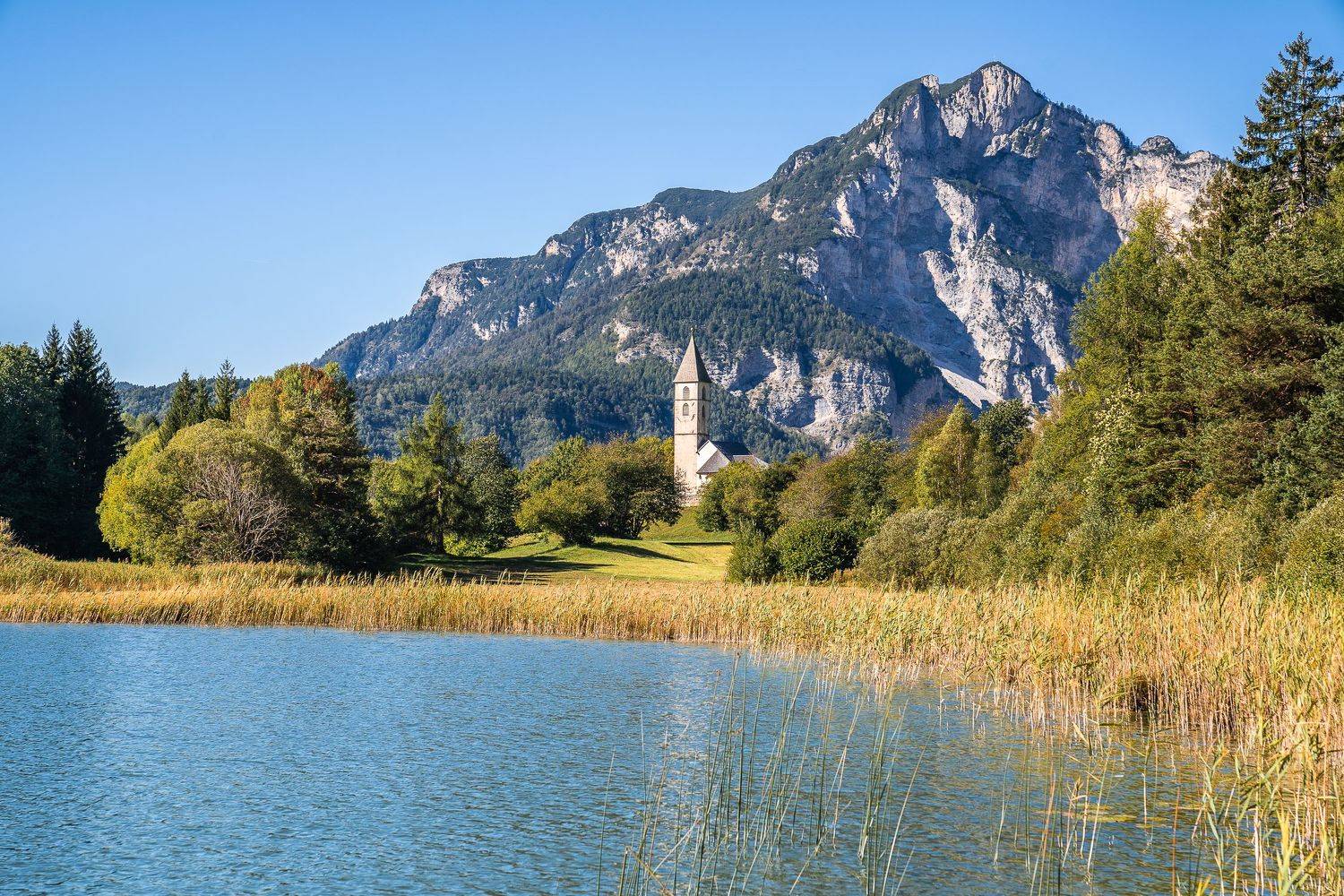 , Максимова Дария