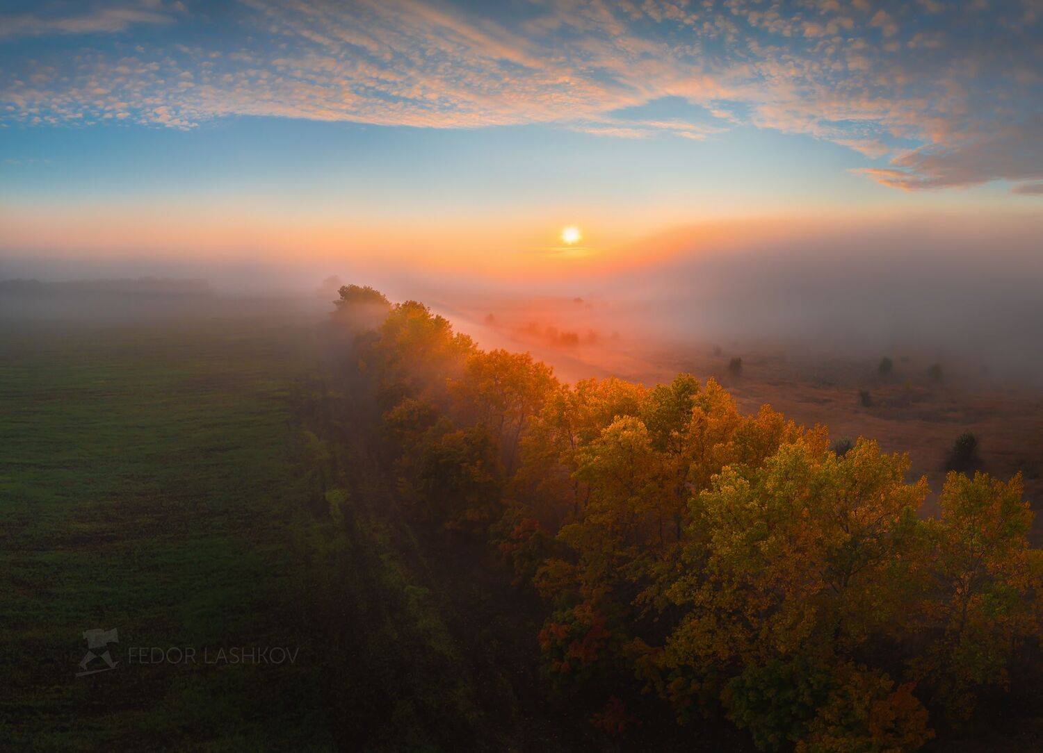 белгородская область, осень, осенний, рассвет, облака, туман, туманный, солнце, облачно, лесопосадка, тополя, деревья, поле, золотой,, Лашков Фёдор