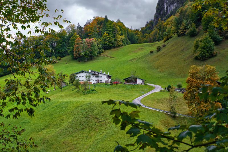 Зелёный бархат фото превью