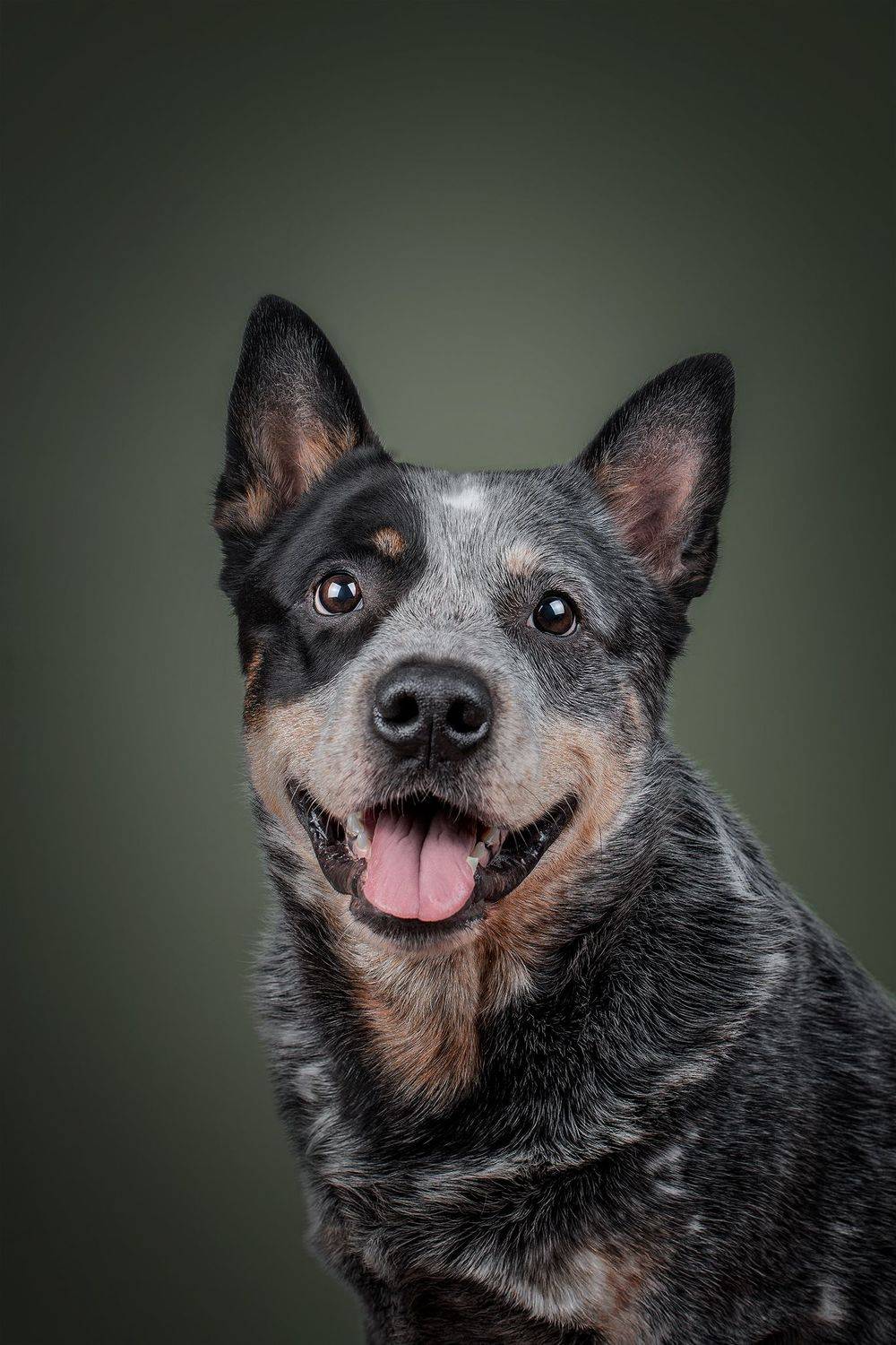 , Юлия Гончар