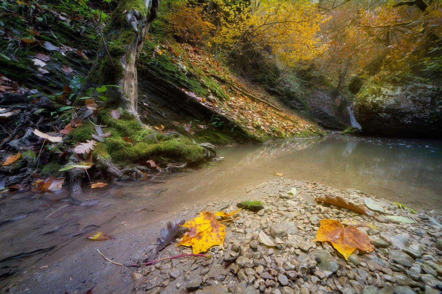 , Alexander Ornatskiy