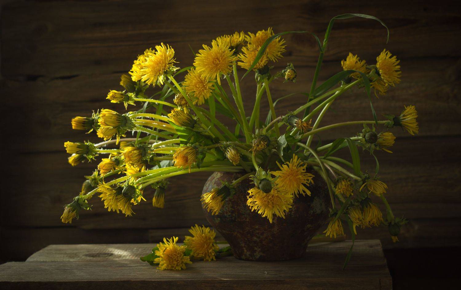 Одуванчики, натюрморт, Хвойнова Елена