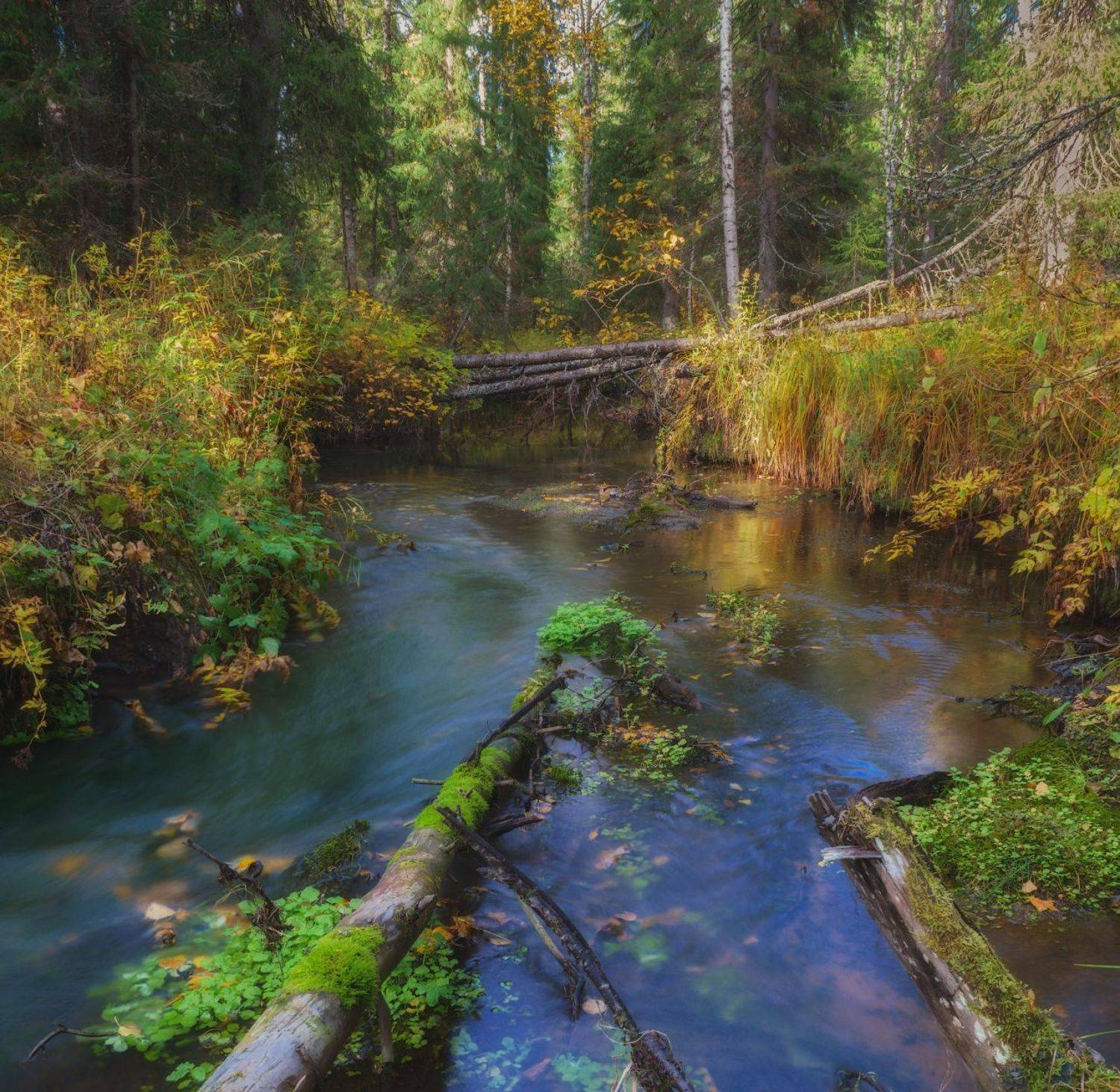 печора, коми, осень, Игорь Подобаев
