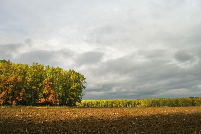 Октябрьский теплый пейзаж фото превью