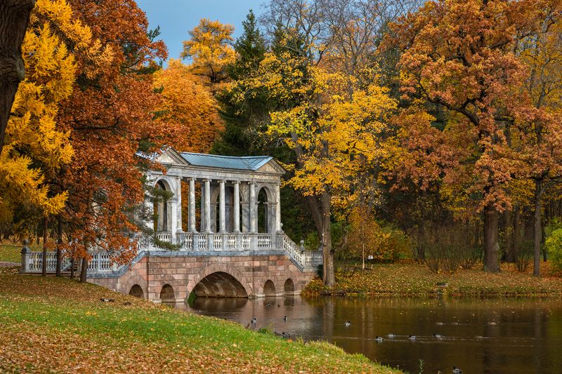 царское село, пушкин, екатерининский парк, мраморный мост, осень, пейзаж Осень и мраморный мост фото превью
