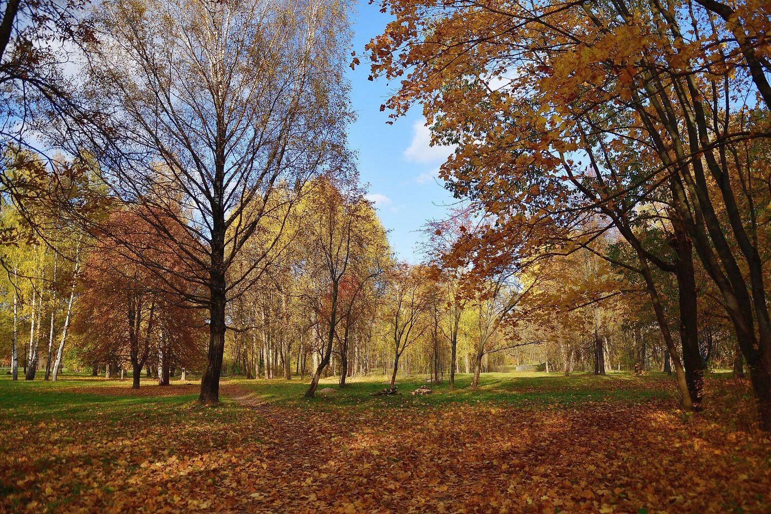 , Корнейчук Игорь