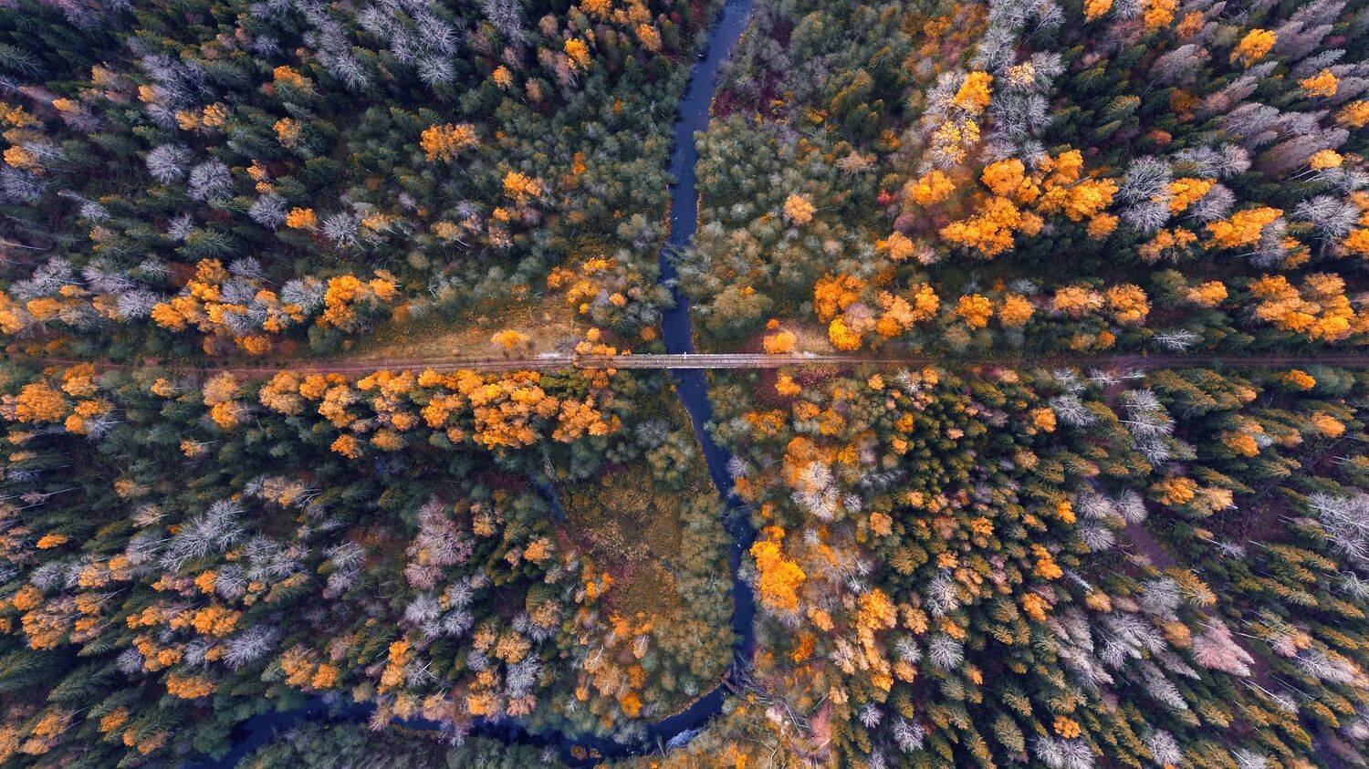 ярынья мост осень дорога река, Третьякова Анастасия