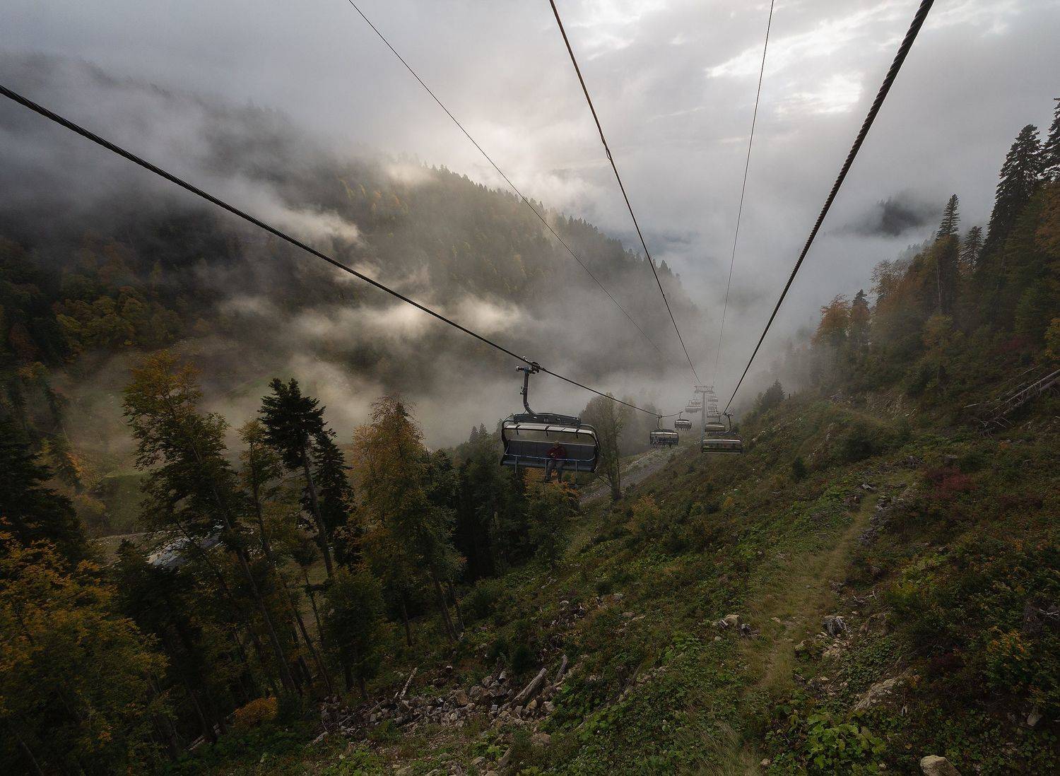 , Платонов Алексей