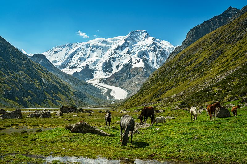 тянь-шань, терскей алатоо, онтор, каракол, слонёнок, киргизия, кыргызстан Терскей АлаТоо, в верховьях реки Онтор, на подступах к пику Каракол и вершине Слонёнок фото превью