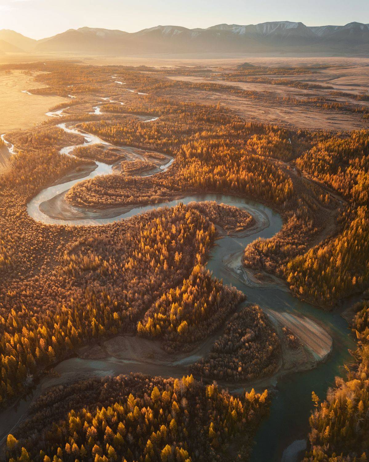 , Michael Kharitonychev