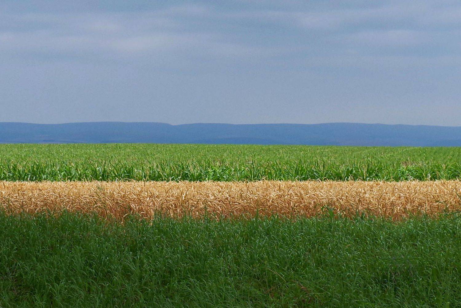 , Ольга Беккер