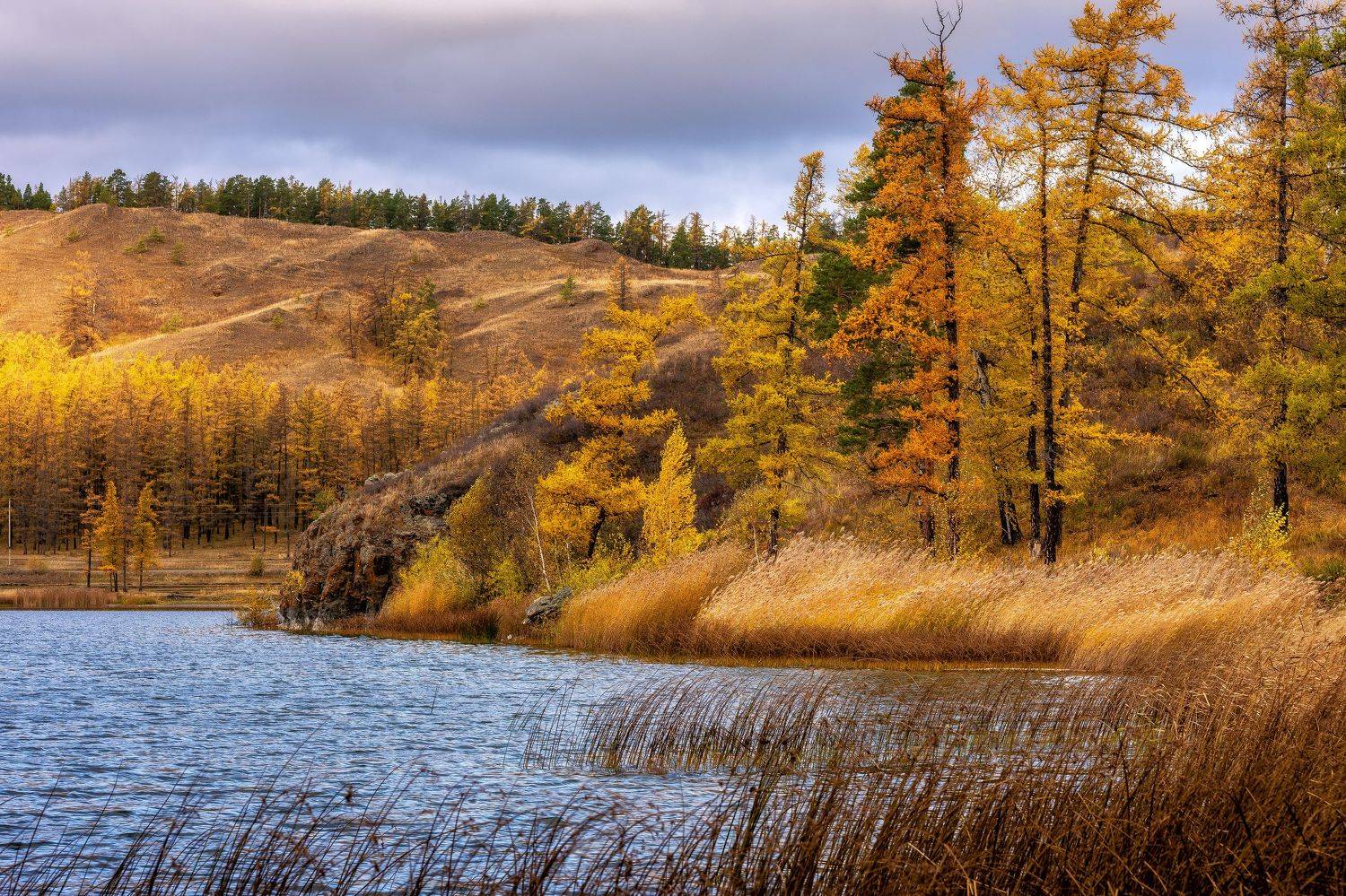 , Андрей Шарапов