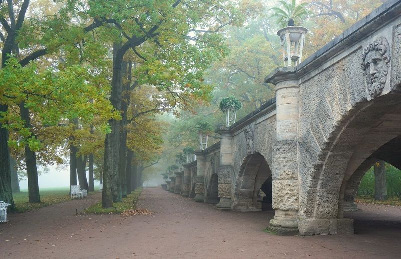 Autumn morning фото превью