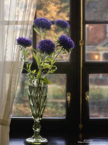 Золотая осень за окном