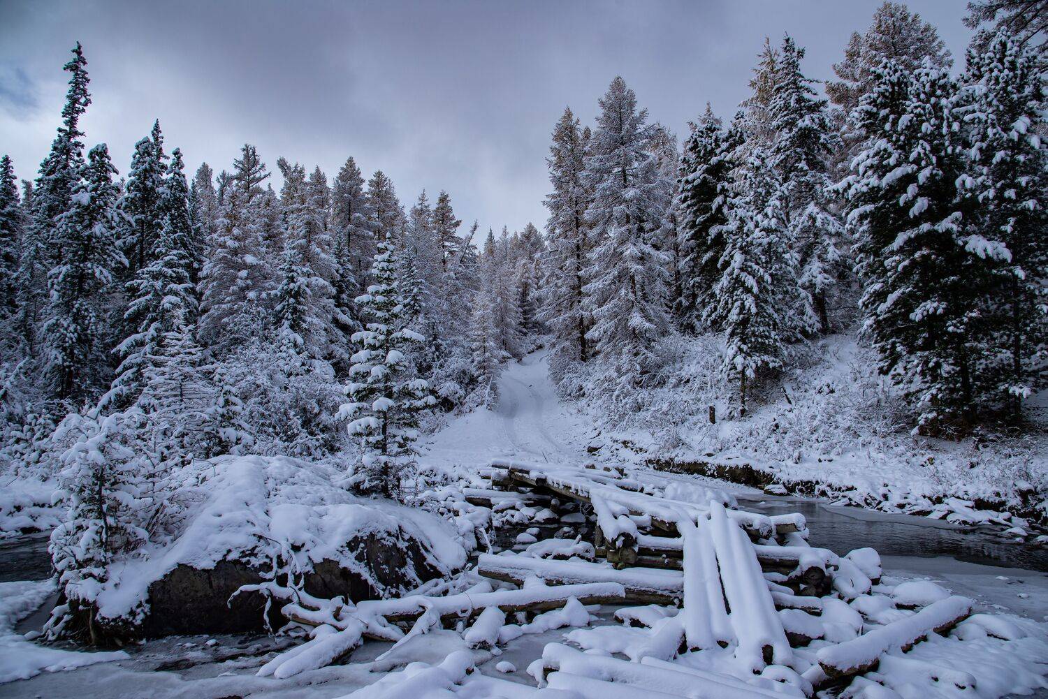 алтай. осень. горы., Евгений Дроботенко