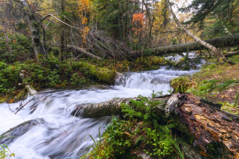 На реке Орленок фото превью