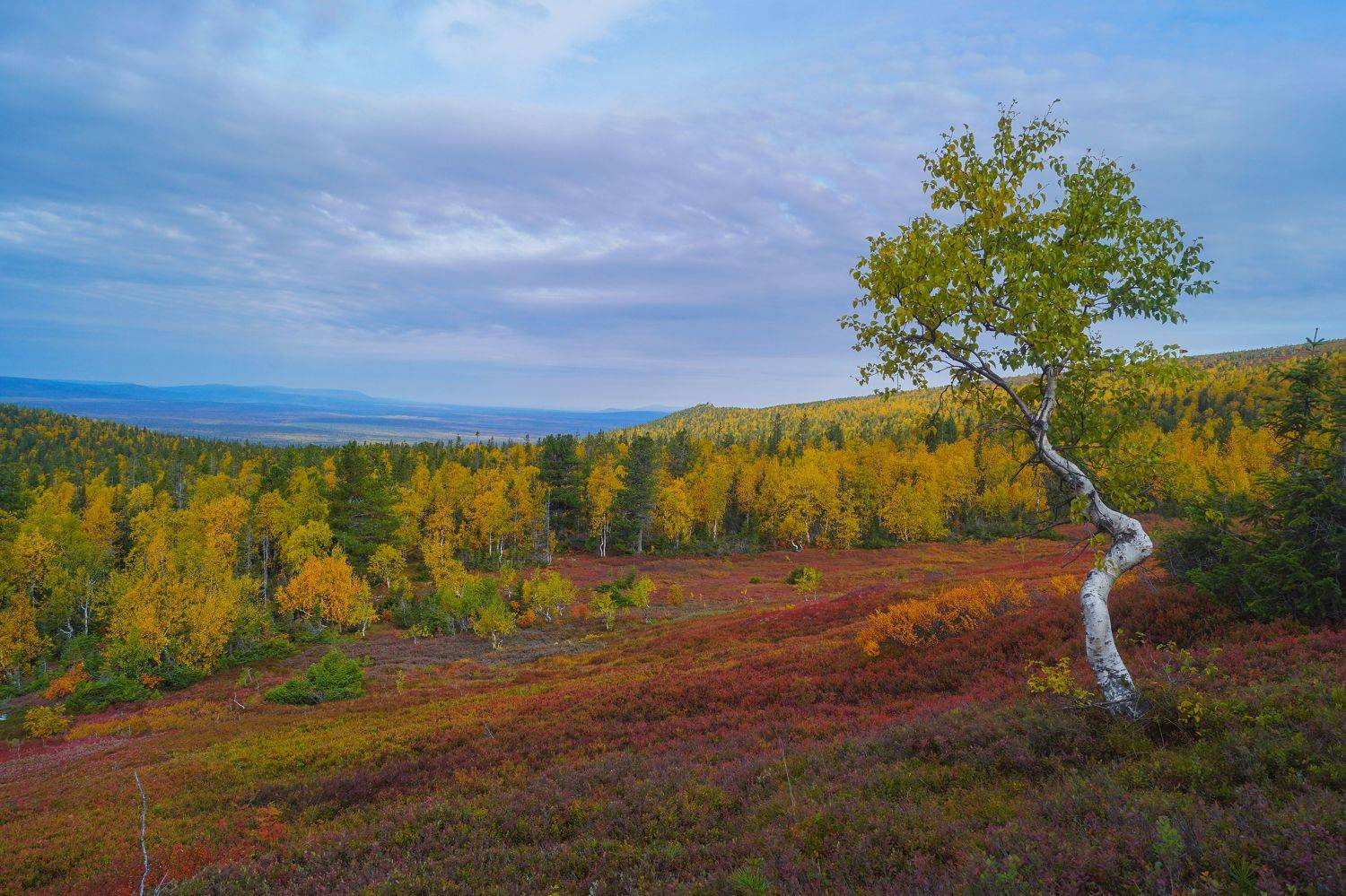 , Квасов Виктор