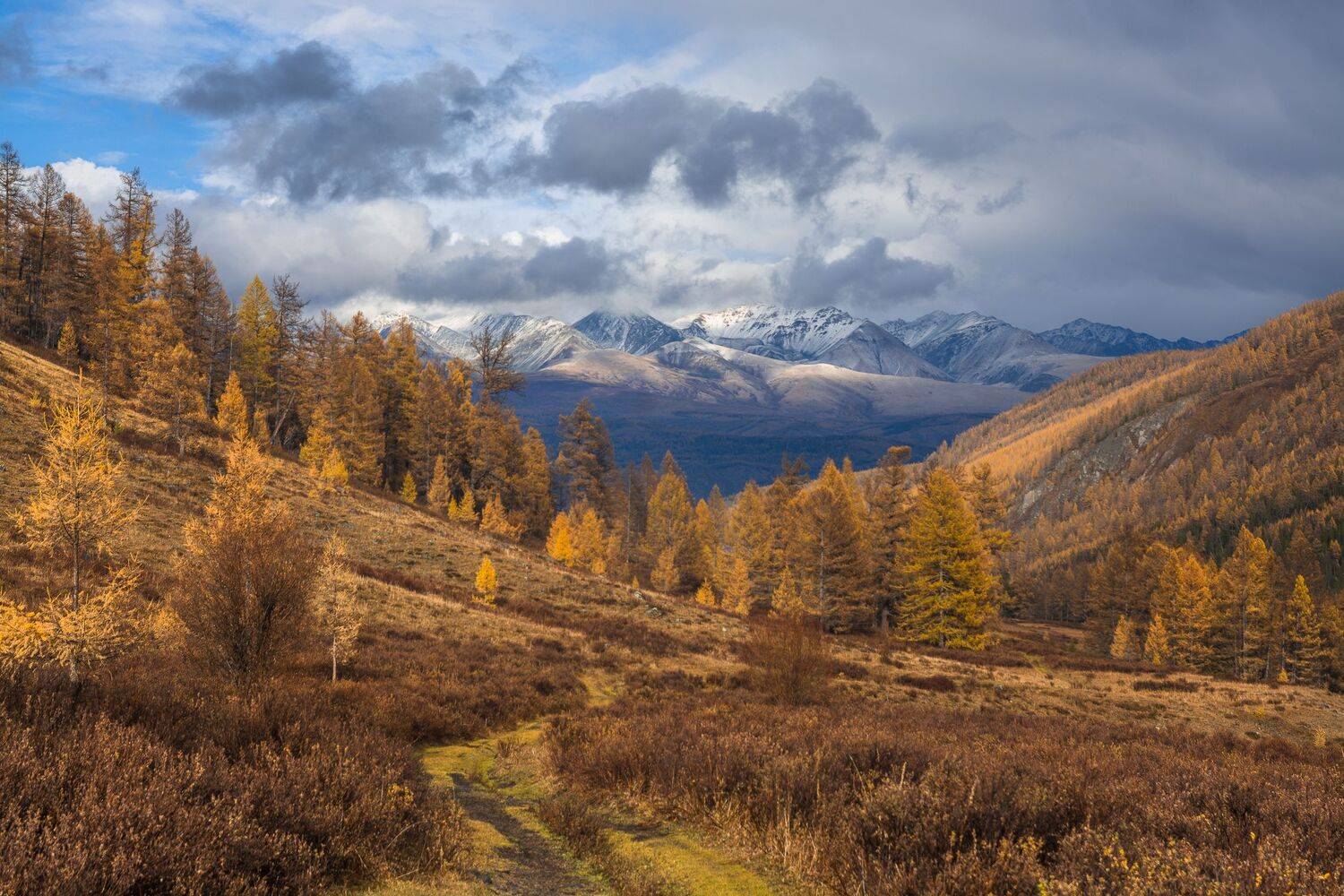 россия, горный алтай,осень, Андрей Поляков