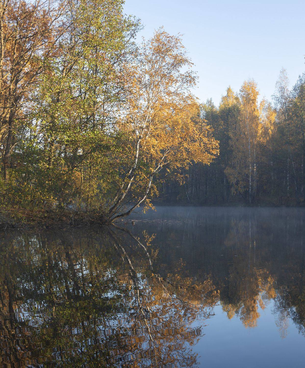 природа, пейзаж, осень, Ольга Бонина