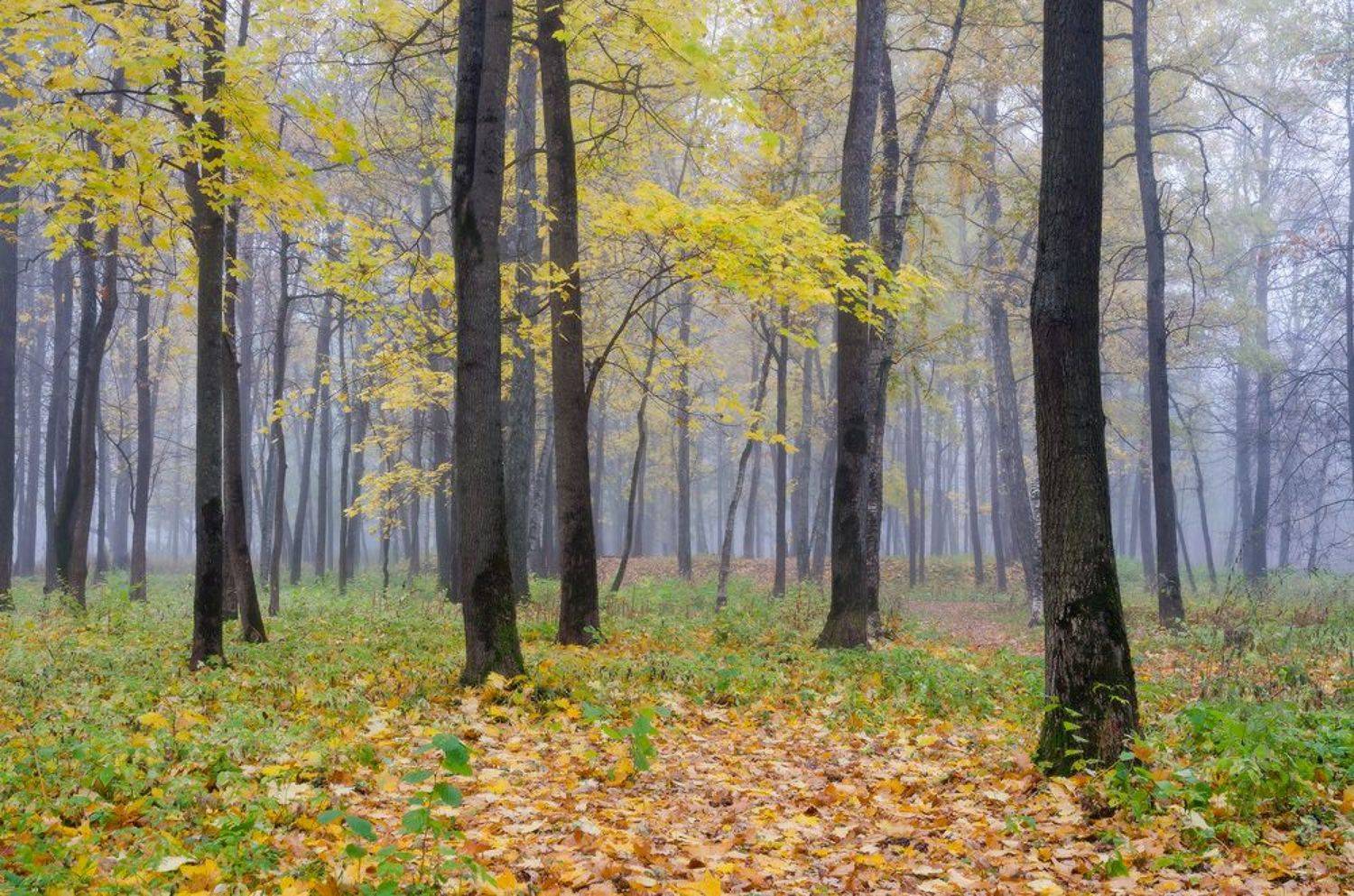 Обнинск, Юсупов Александр