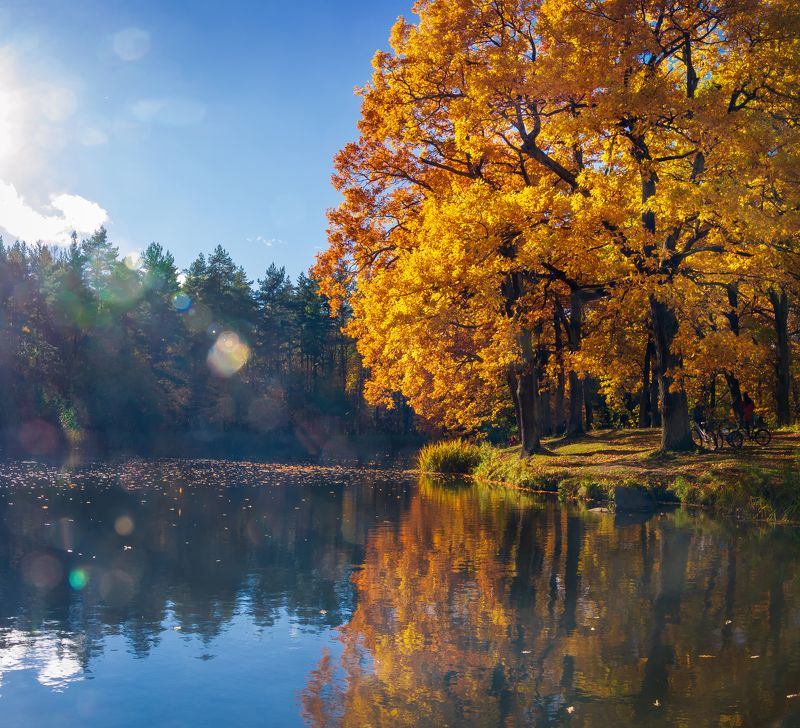 петергоф, александровский парк, осень, природа, листва, озеро, отражение, санкт-петербург, красиво Александровский парк, Петергоф фото превью