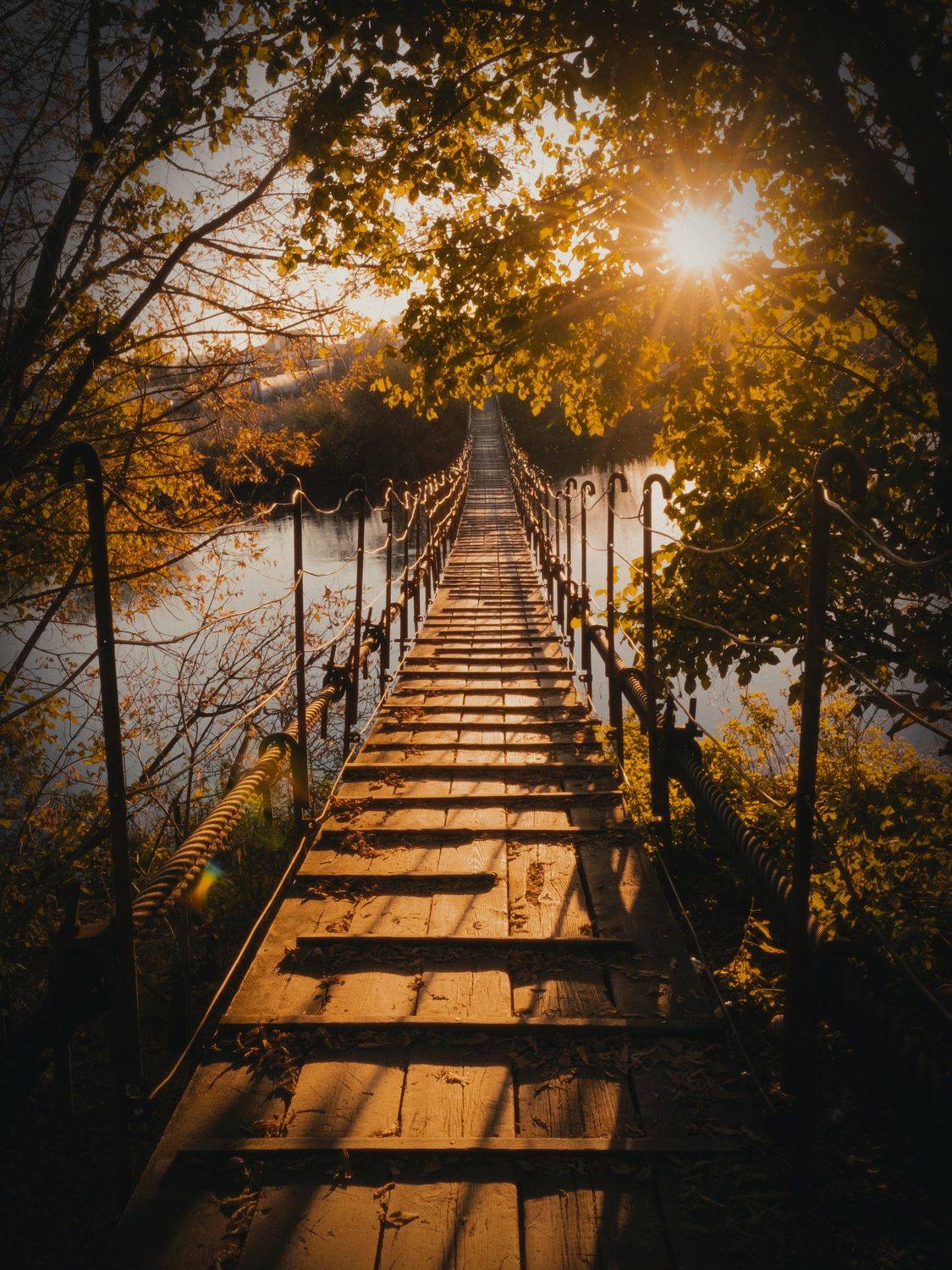 мост, осень, солнце, закат, висячий мост,, Евгений Кожин