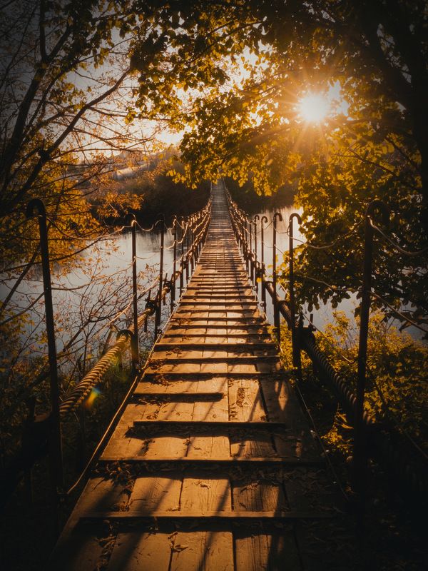 мост, осень, солнце, закат, висячий мост, Мост в Терабитию фото превью