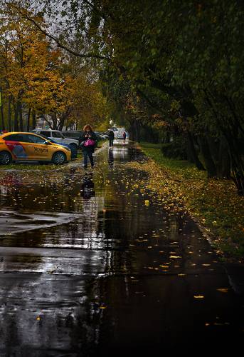 Осенний дождь
