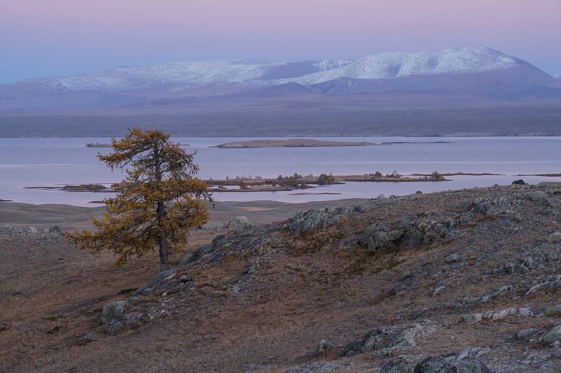 монголия, алтай, пейзаж, путешествие, горы, хайкинг, туризм Алтайская пастель фото превью