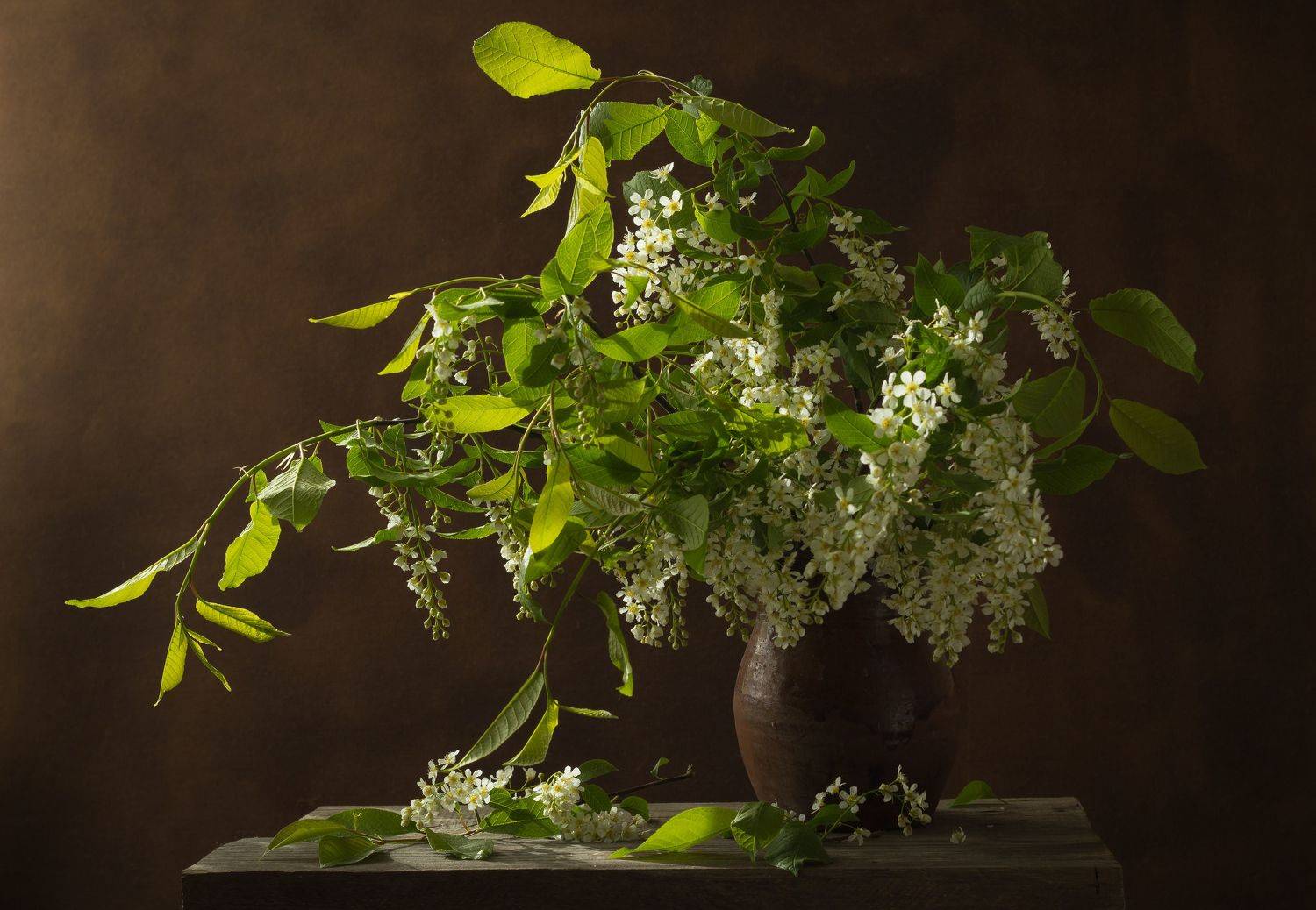 Черемуха, кринка, натюрморт, май, аромат, Хвойнова Елена