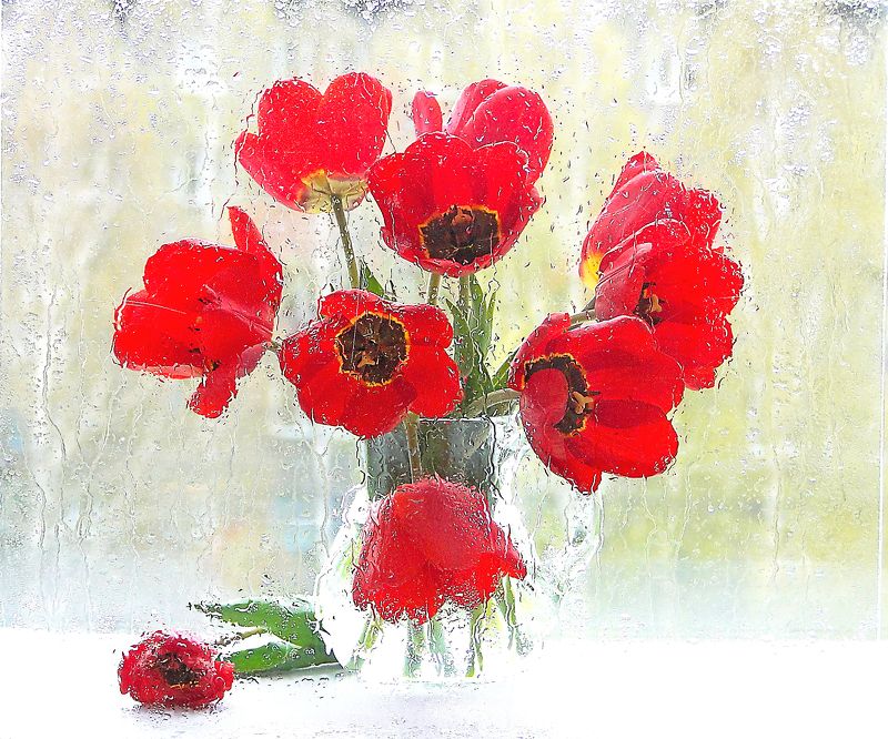 Майский дождь. Одна из ранних работ. фото превью