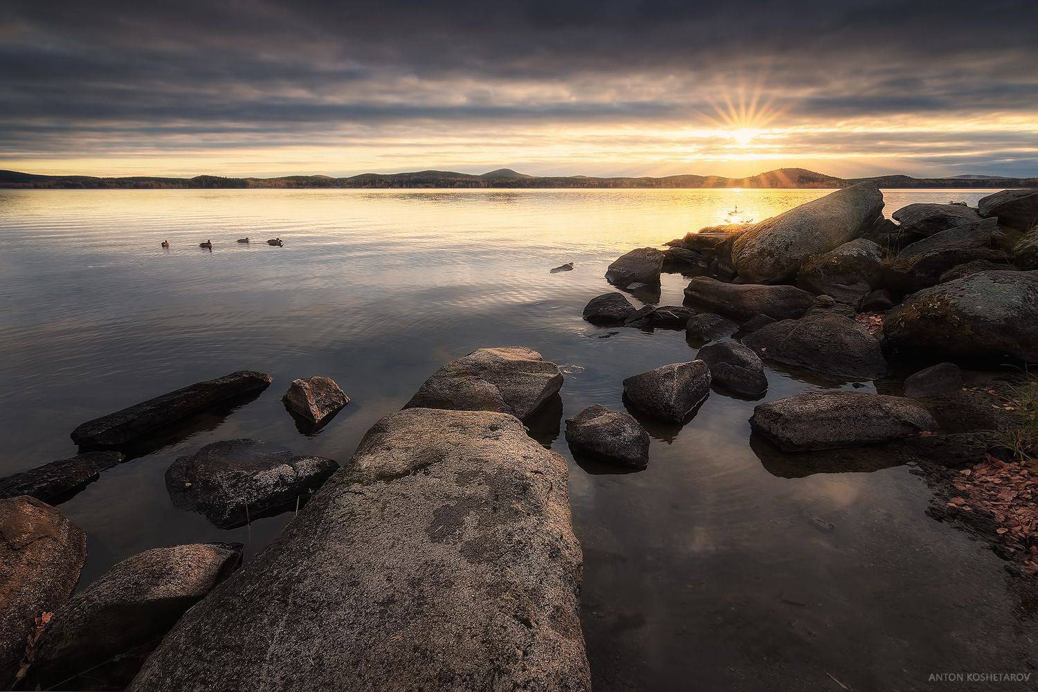 , Антон Кошетаров