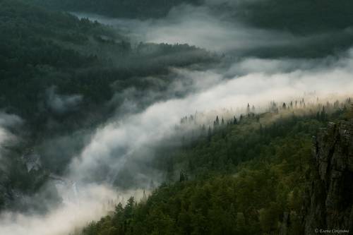 Туманное утро