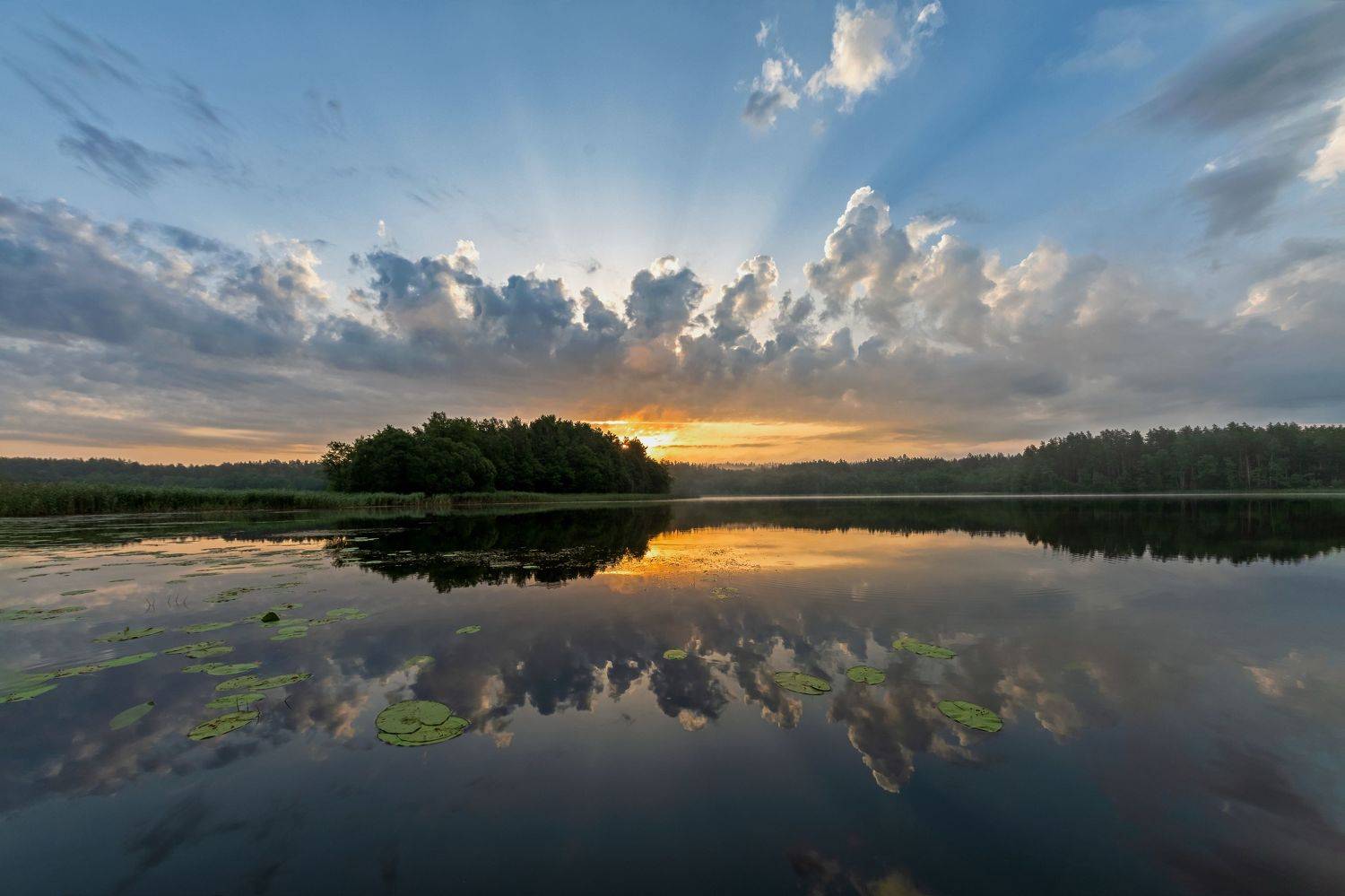 , Виктор Желенговский