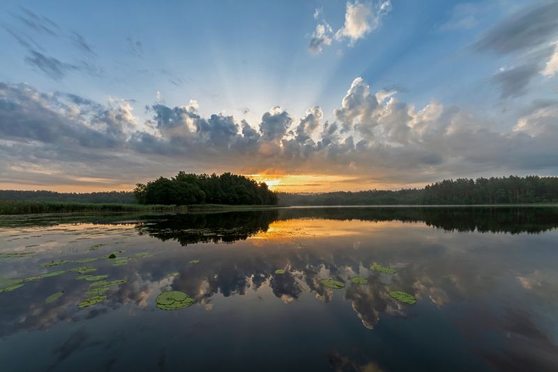 Утро... фото превью