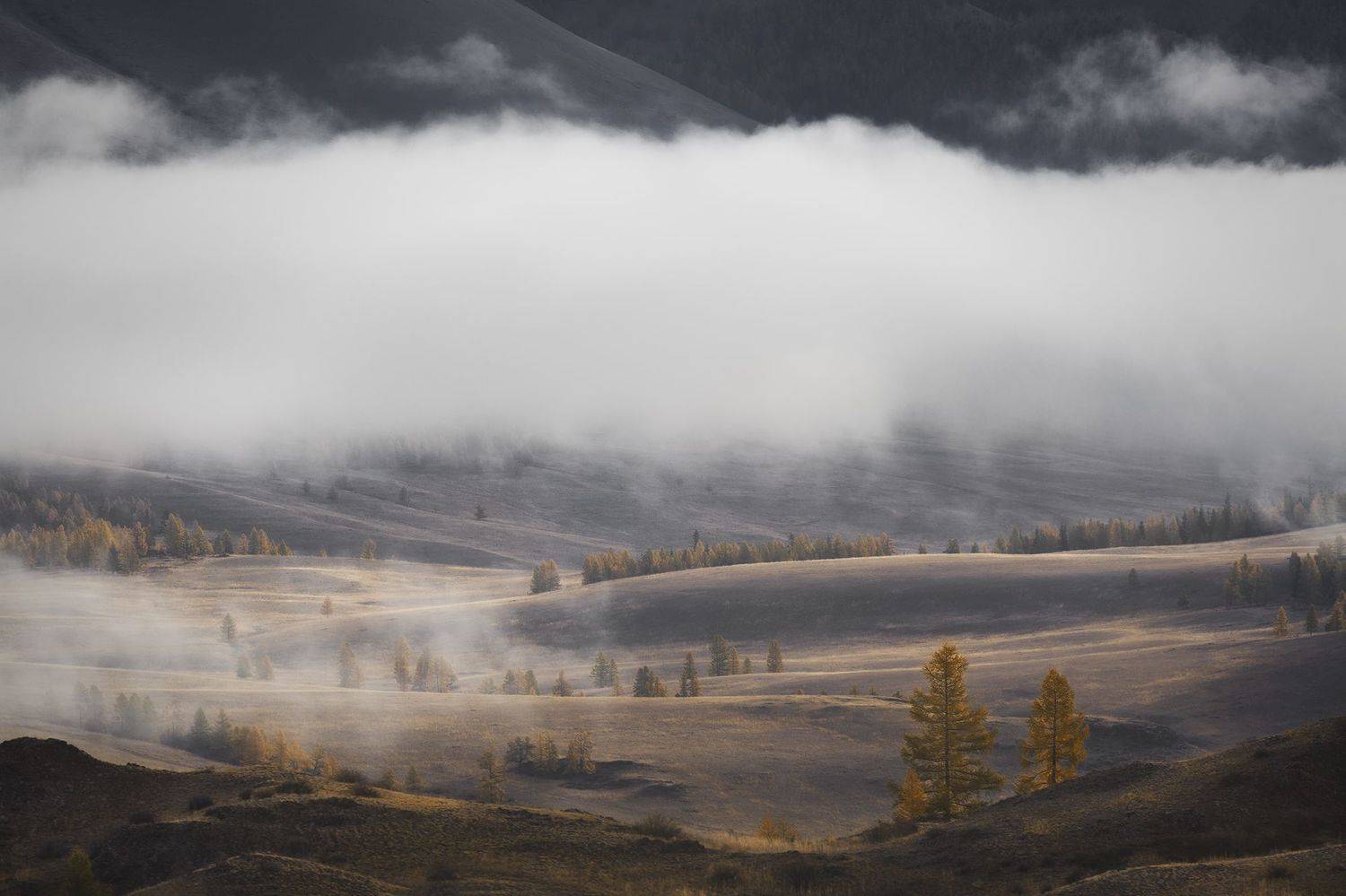 туман, в, курайской, степи, Ирина Абатурова