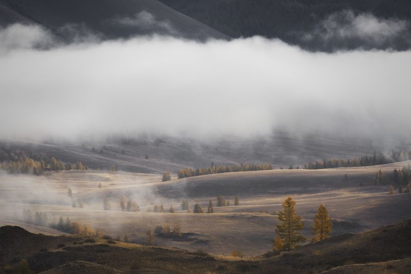 туман, в, курайской, степи Туман в Курайской степи фото превью