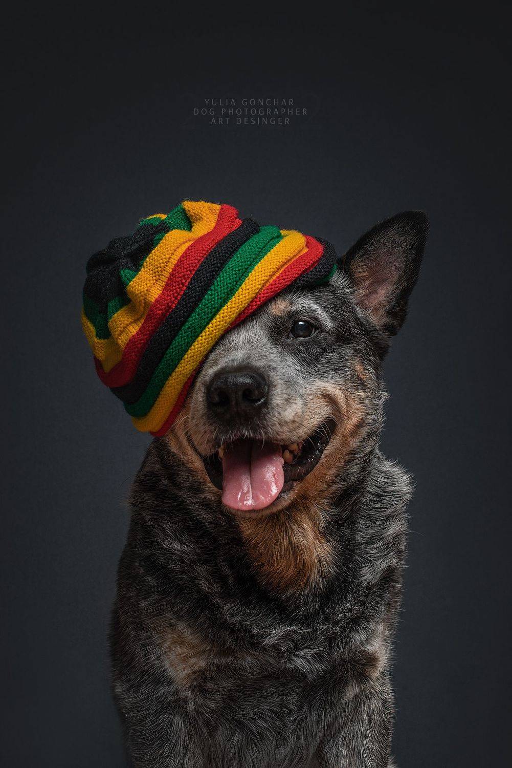 , Юлия Гончар