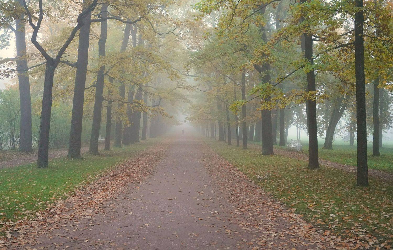 , Сергей Андреевич