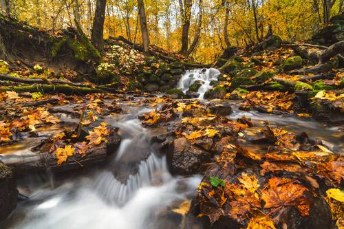 Мельничный ручей