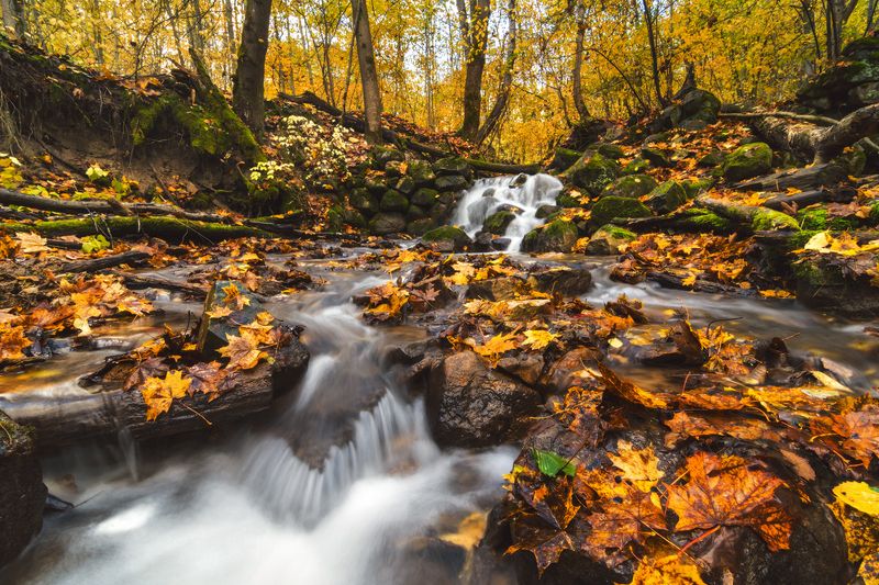 мельничный ручей, псков Мельничный ручей фото превью