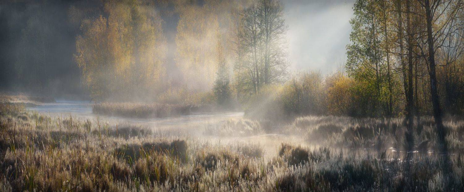 тула, воронка, ясная поляна, Сергей Кочергин