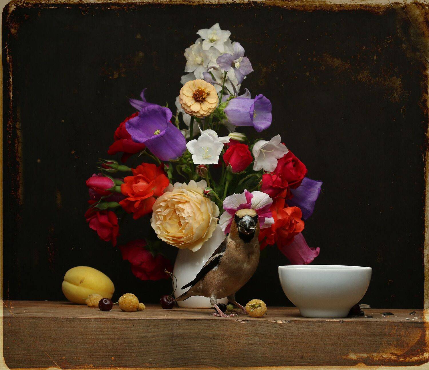 дубонос, Хромушин Олег