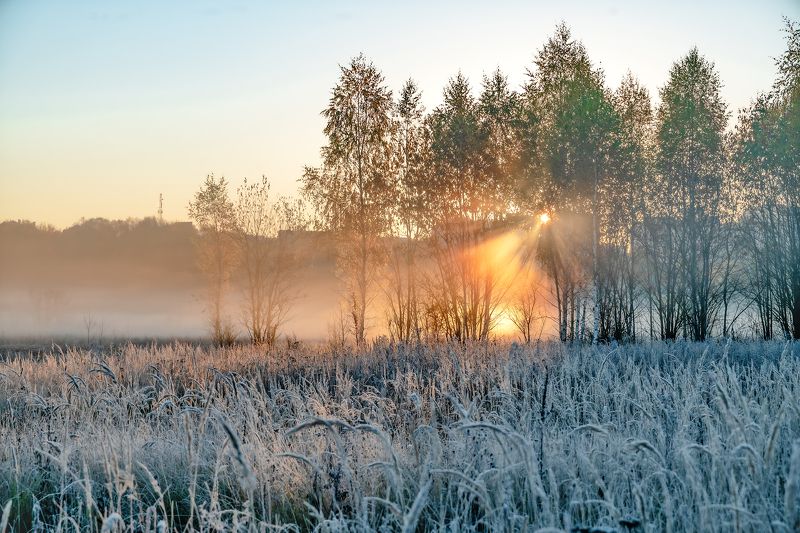 Утро-туманное , холодное, заиндевелое. фото превью