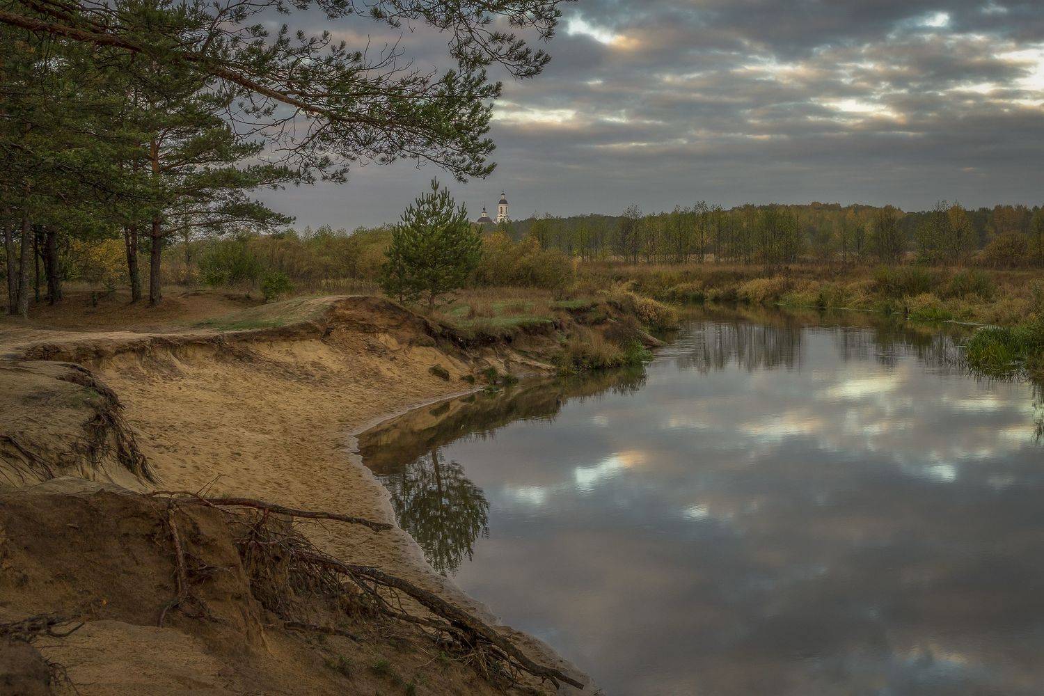 Владимирская область, Гусева Елена