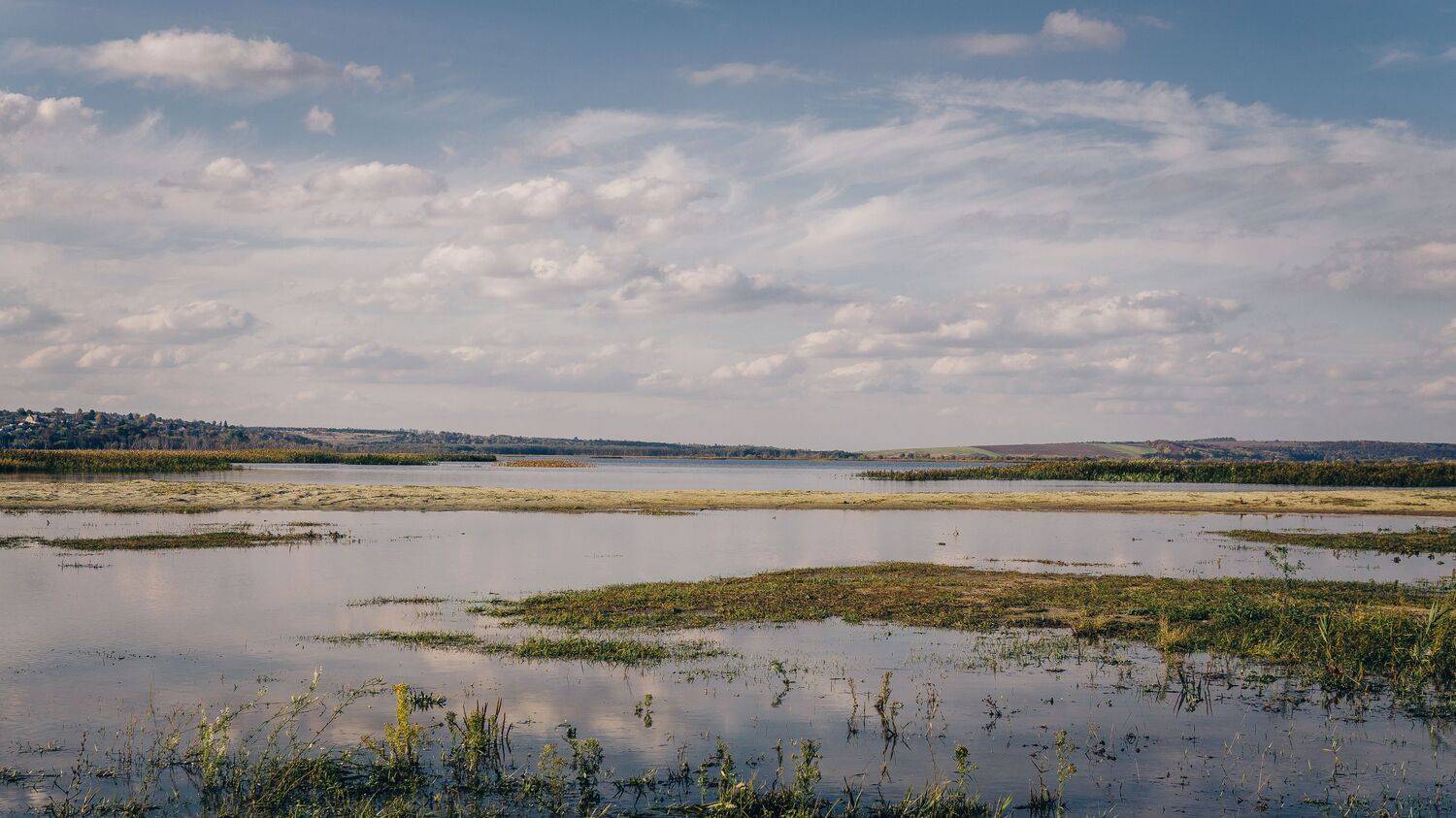 , Юрий Вертиков