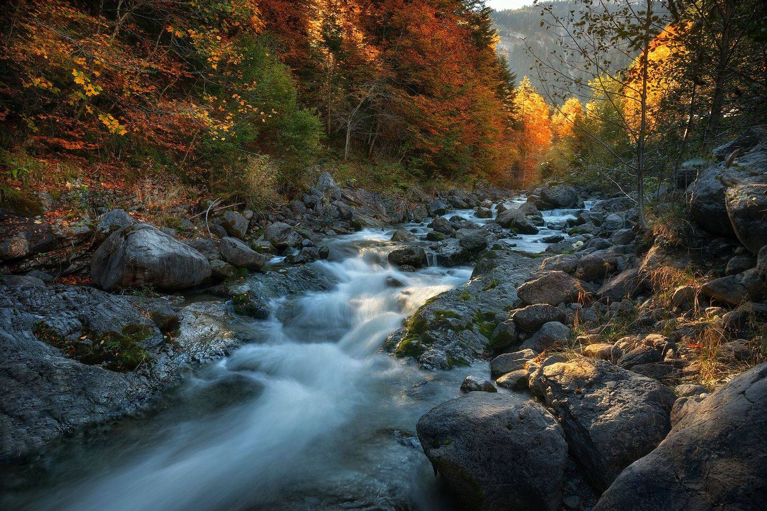 switzerland., Andris